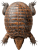 Armadillo